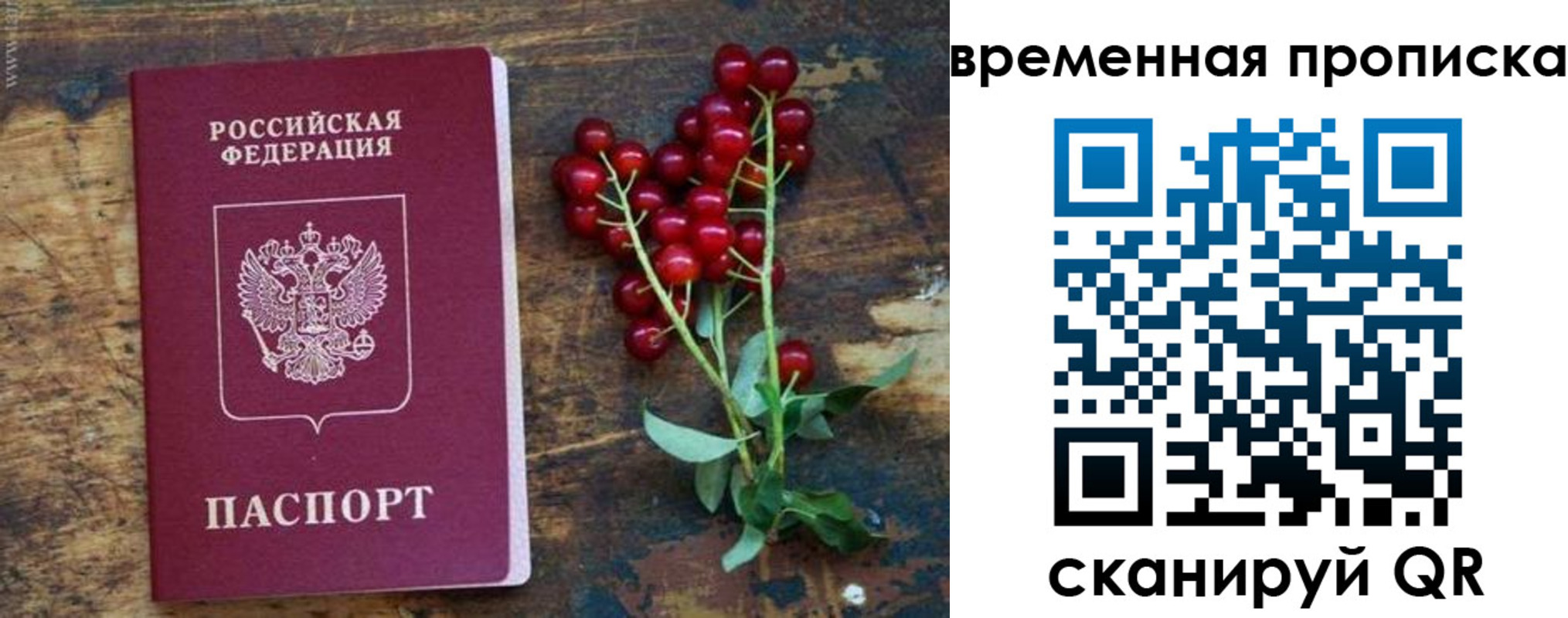 временная регистрация гарантия в Ивантеевке